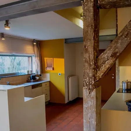 Vakantiewoning De Luysmolen